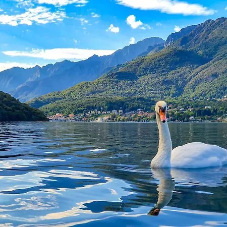 La Piccola Filanda * Gravellona Toce